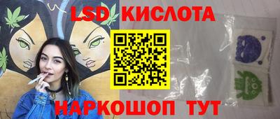 прущие грибы Славгород