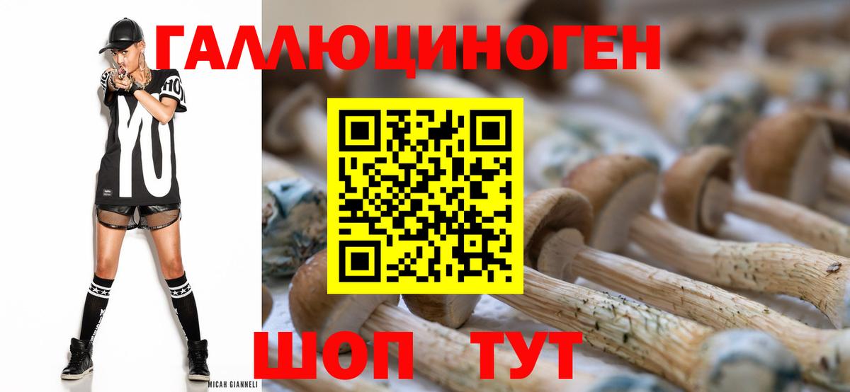 Туапсе  Псилоцибиновые грибы Psilocybine cubensis  Вход с VPN  где найти   Галлюциногенные грибы GOLDEN TEACHER 